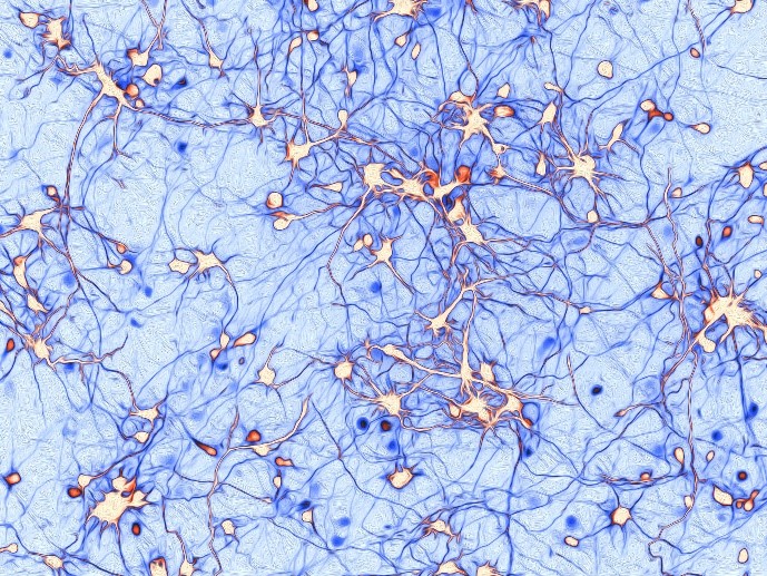 Science to Art 2015 winning image