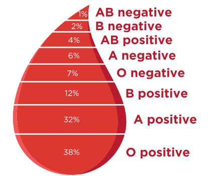 A picture of a blood drop divided into sections based on the frequency of blood types in Australia.
