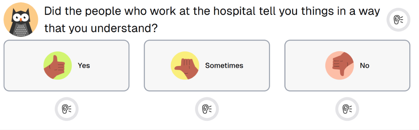 Sample PREM question - did the people who were at the hospital tell you things in a way that you understand? Yes, Sometimes, No