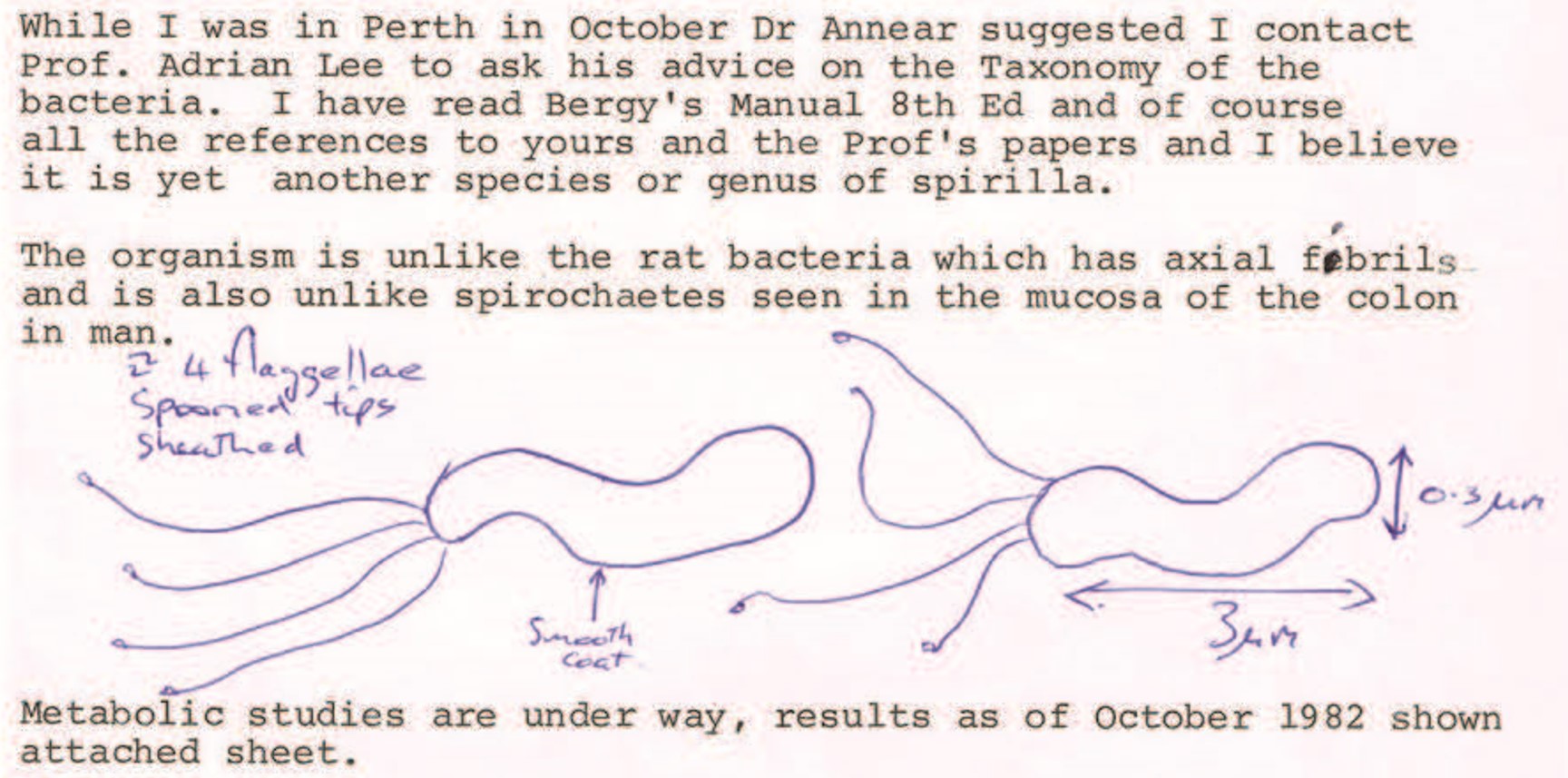 Excerpt from a letter
