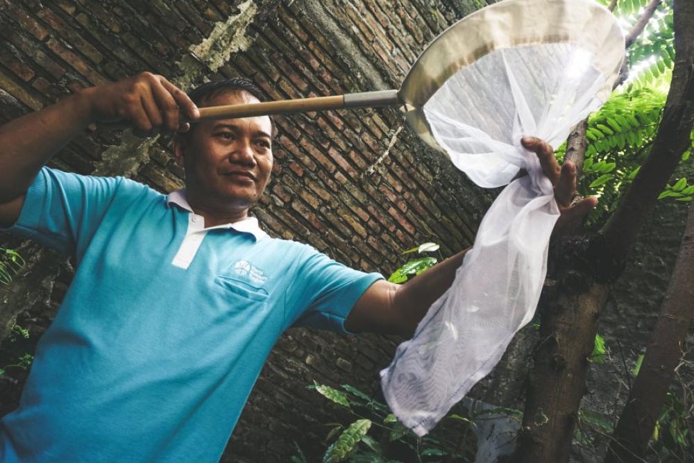 Man using a white net to catch mosquitos in a garden