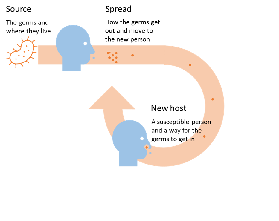 The chain of infection