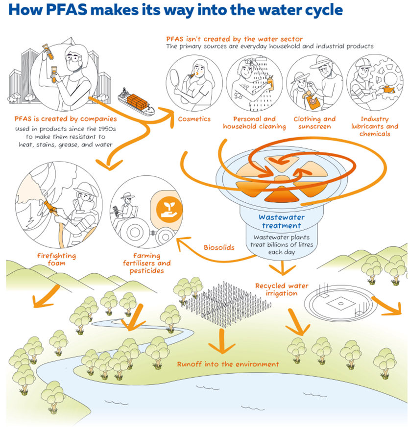 Diagram of how PFAS makes its way into the water cycle from various sources, including how PFAS can move in the environment.
