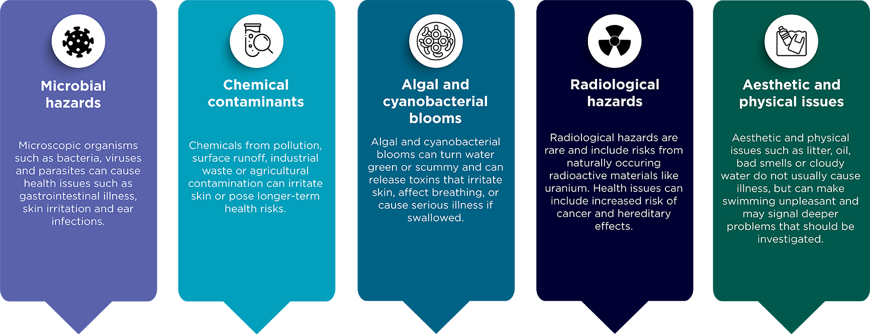 Main types of water quality hazards associated with recreational water. See long description for more information.