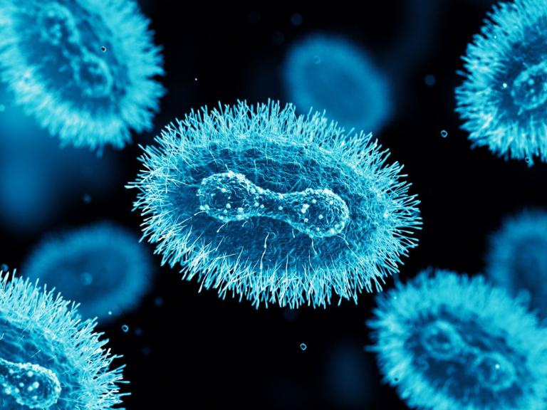 3d render of a virus