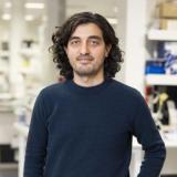 Associate Professor Nadeem Kaakoush
