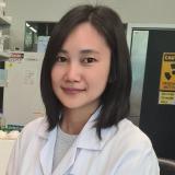 Dr Sue Chin Nang