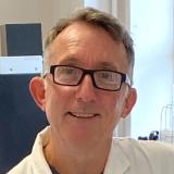 Associate Professor Nigel Beebe