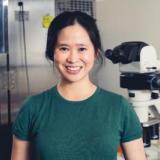 Photo of Dr Yee Lian Chew