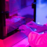Lab image