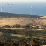 Photograph of a Wind Farm