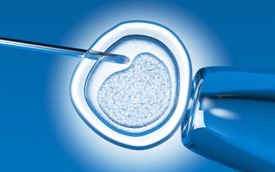 Stem cell