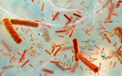 Biofilms