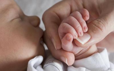 Adult holding a baby hand