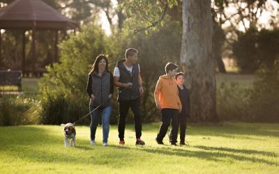 Decorative image - Family walking dog