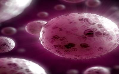 Decorative image - bacteria close-up