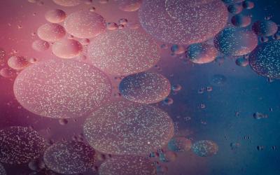 Cells
