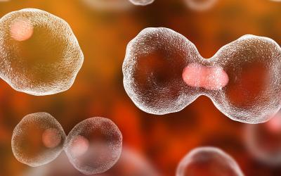 Abstract cell image