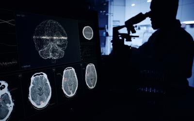 Medical imaging of brain sections