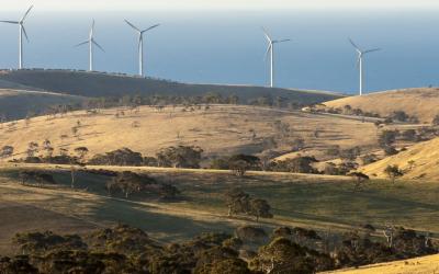 Photograph of a Wind Farm